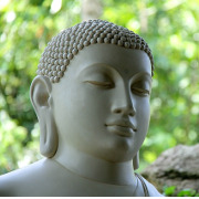 Avatar Buddha